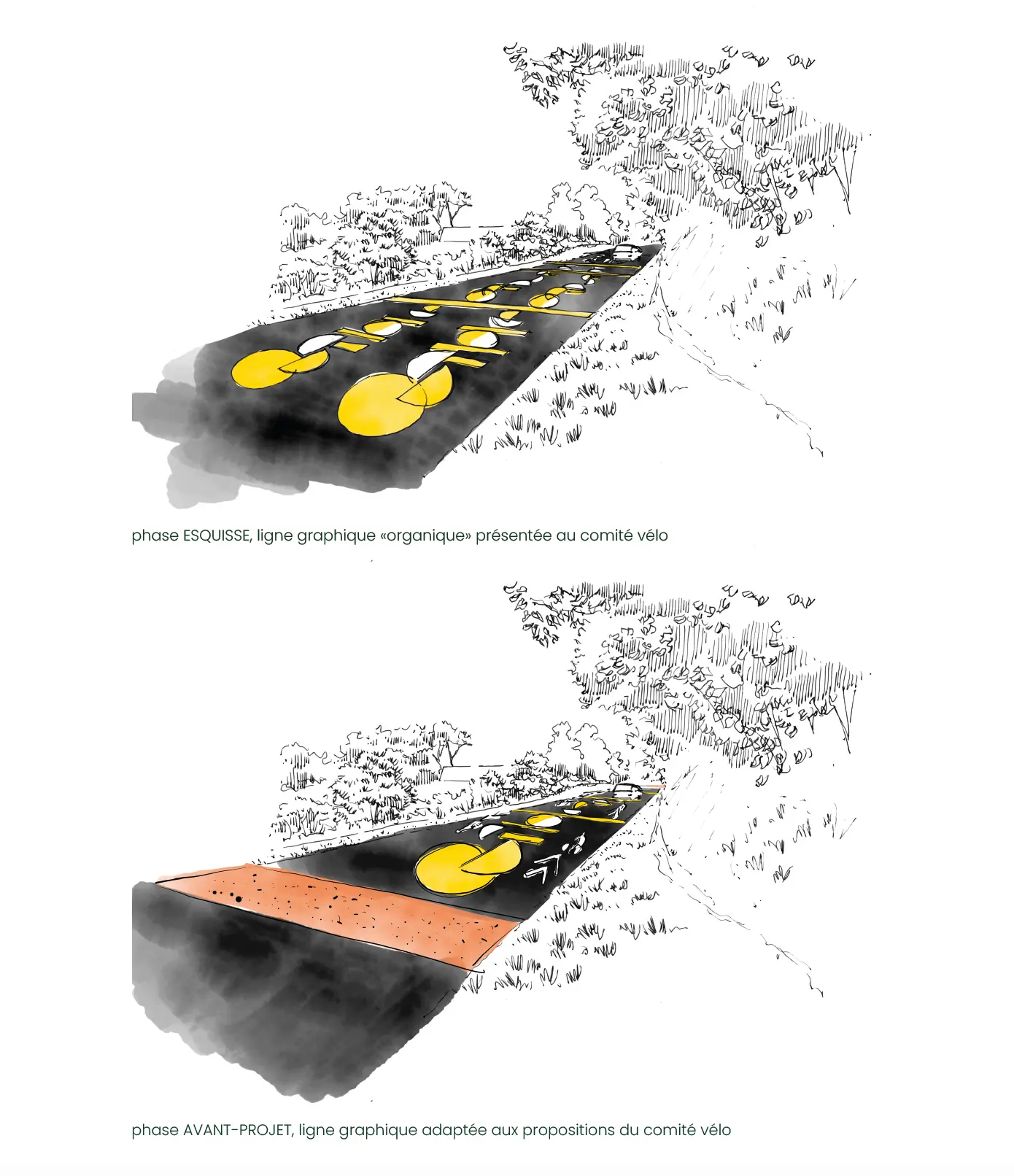 évolution de la ligne graphique au cours de l'étude