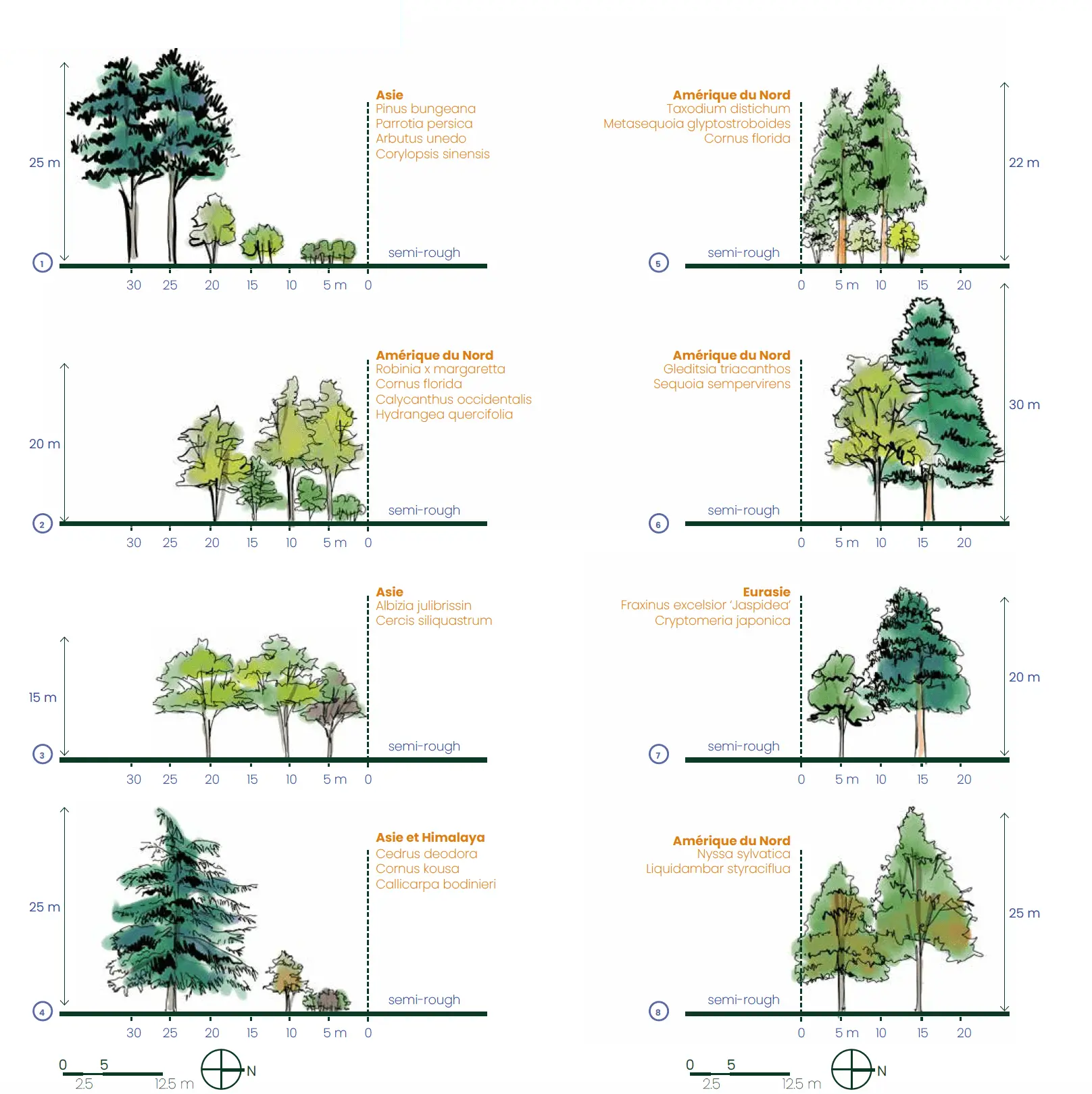 stratégie_de_plantation_vue_en_coupes